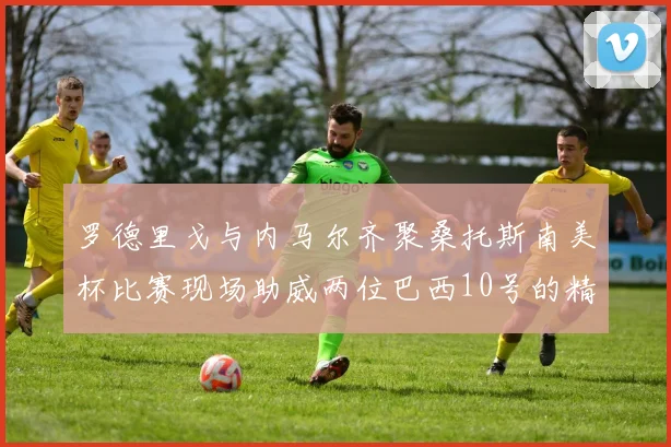 罗德里戈与内马尔齐聚桑托斯南美杯比赛现场助威两位巴西10号的精彩时刻